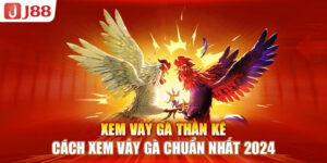 xem-vay-ga-than-ke-cach-xem-vay-ga-chuan-nhat-2024