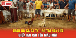 tran-da-ga-24-ty-so-tai-nay-lua-giua-hai-cai-ten-mau-mat