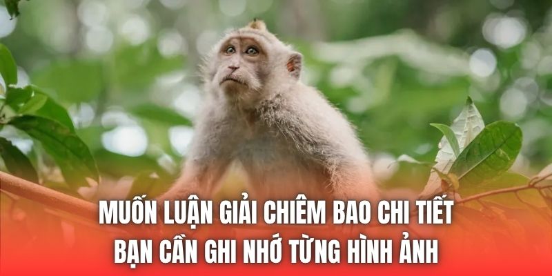 Muốn luận giải chiêm bao chi tiết bạn cần ghi nhớ từng hình ảnh